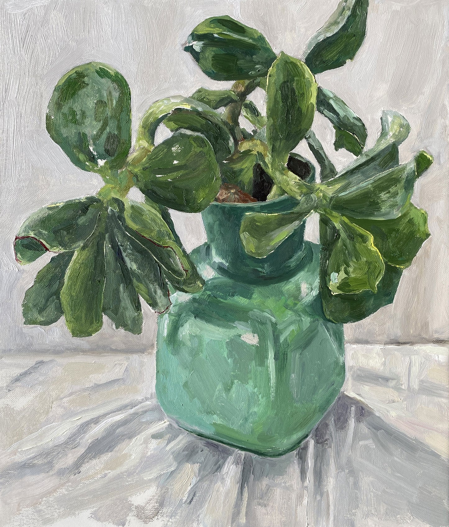 Succulent in Green Vase