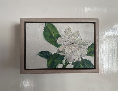 Gardenia II