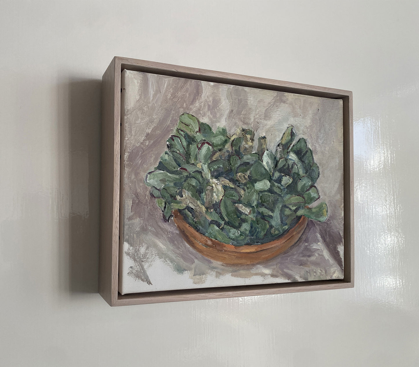 Crassula arborescens in Terracotta Plate