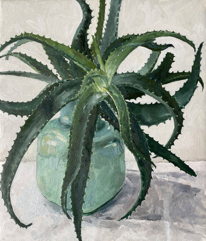 Aloe in Green Vase