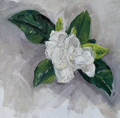 Gardenia I