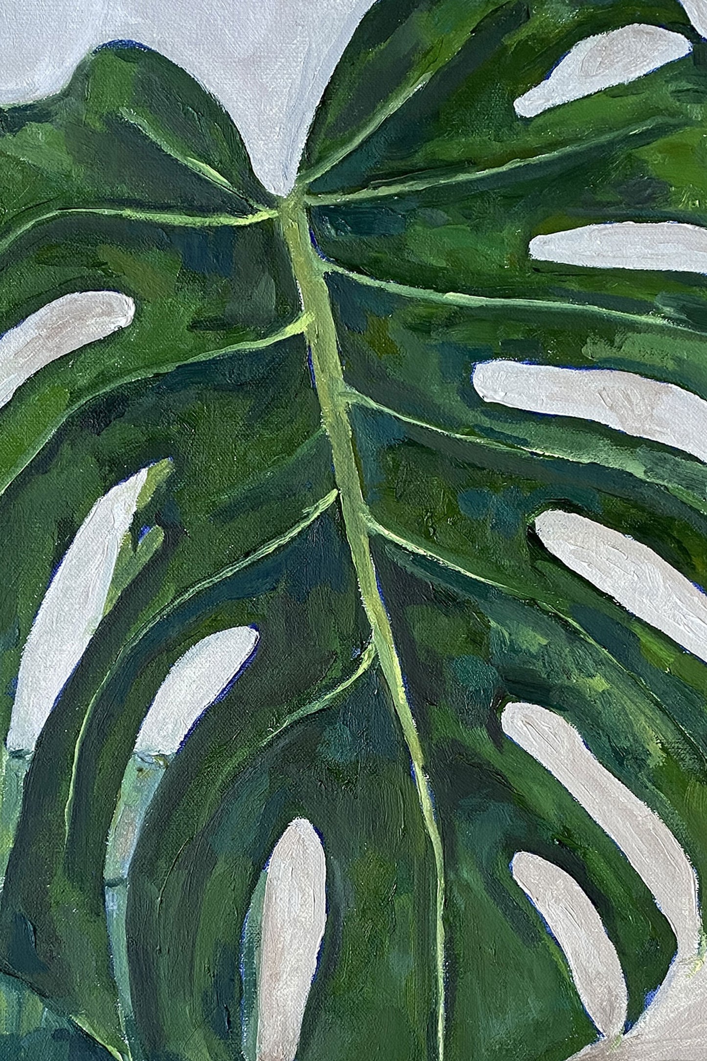 Monstera in Vase