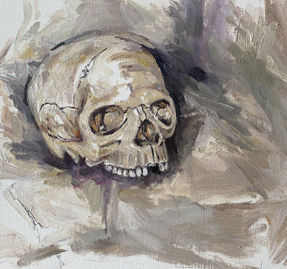 Skull Study