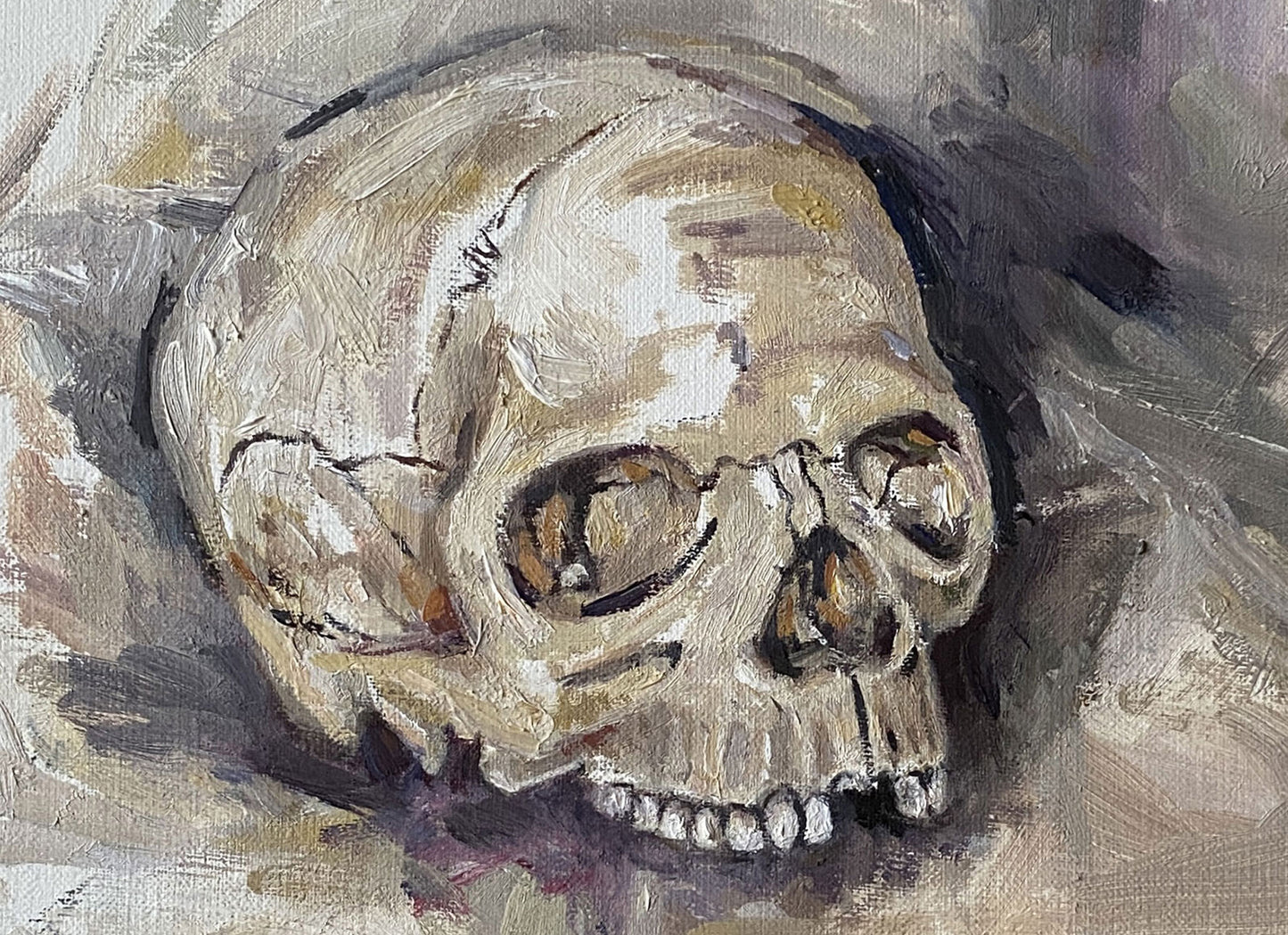 Skull Study