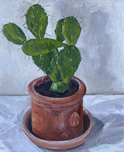 Cactus in Terracotta Pot