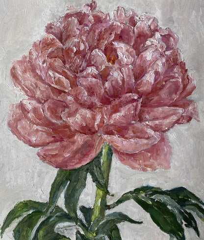 Peony Flower