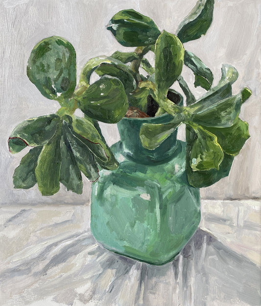 Succulent in Green Vase