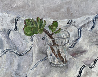 Jade Plant on Cloth